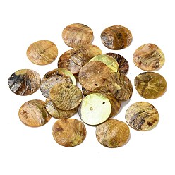 Темный Хаки Подвески из натуральных ракушек акойя, окрашенные распылением, мать ракушки, плоские круглые прелести, Темный хаки, 20.5x1~3 мм, отверстие : 1.5 мм