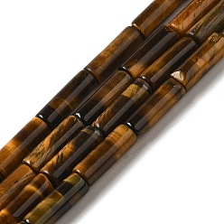 Тигровый глаз Природных тигровый глаз бисер нитей, колонка, 13.5~14x4~4.5 мм, отверстие : 1.2 мм, около 28 шт / нитка, 15.16'' (38.5 см)