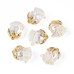 Прозрачный Уф-покрытие прозрачные акриловые бусины, радужный, роза, с позолоченной сплавочной фурнитурой, прозрачные, 23x20.5x16 мм, отверстие : 1.6~1.8 мм