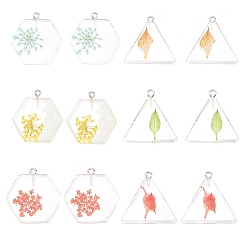 Mixed Color Resin Pendants, with Dried Flower Inside and Iron Findings, Hexagon, Platinum, Mixed Color, 26.5~29x28x4~4.5mm, Hole: 2mm, 3 colors, 2pcs/color, 12pcs
