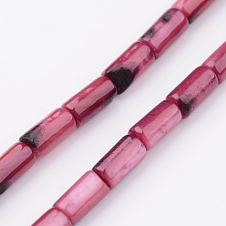 Светло-Вишневый Природные оболочки нитей бисера, окрашенные, колонка, светло-вишневый, 8x4 мм, отверстие : 0.5 мм, около 50 шт / нитка, 15.7 дюйм