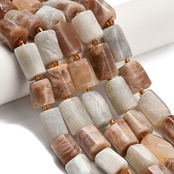 Multi-Moonstone Нити из натуральных бусин из нескольких лунных камней, колонка, с бисером, граненые, 10~17x10~12x8~10 мм, отверстие : 1 мм, около 24~25 шт / нитка, 15.55'' (39.5 см)