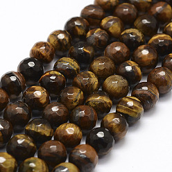 Тигровый глаз Граненые натуральные тигровые глазки, круглые, 10 мм, отверстие : 1.8 мм, около 38 шт / нитка, 14.6 дюйм