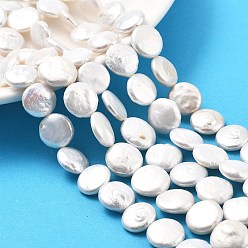 Белый Дым Натуральный жемчуг в стиле барокко кеши, культивированный пресноводный жемчуг, плоско-круглые, класс 6а++, серый, 12~13x4~6 мм, отверстие : 0.6 мм, около 30~31 шт / нитка, 15.16''~15.55'' (38.5~39.5 см)