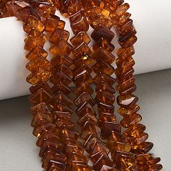 Седло Коричневый Янтарные шарики нити, ромб, седло коричневый, 11~12x11~12x2.5~3.5 мм, отверстие : 0.7 мм, около 68~70 шт / нитка, 14.76''~14.96'' (37.5~38 см)
