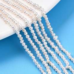 Кремово-белый Нити из натурального культивированного пресноводного жемчуга, картофель, кремово-белые, 2.5~4x2~3 мм, отверстие : 0.4 мм, около 171~177 шт / нитка, 14.57~14.96'' (37~38 см)