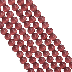 Púrpura Cuentas de ojo de gato arricraf, rondo, púrpura, 7.5~8 mm, agujero: 1 mm, aproximadamente 14~14.5 pulgada / hebra, sobre 48~50 unidades / cadena, 3 hebras / caja