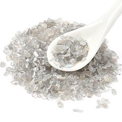 Лабрадорита Природные лабрадорита бисер, чип, бусины без отверстий , 3~5x2~3x1~2 мм