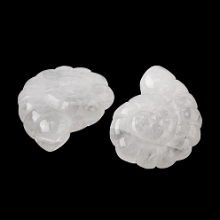 Хрусталь Природного кварца хрустальных подвесок, двухсторонний резной наутилус с верхним сверлением, 29x25x9.5 мм, отверстие : 1 мм