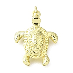 Настоящее золото 18K Латунные подвески, черепаха, долговечный, с целью перехода в кольце, без свинца и без кадмия, стойки покрытие, реальный 18 k позолоченный, 24x19x6 мм