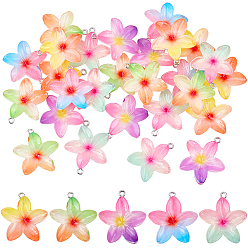 (52) Непрозрачная лаванда 30 кулоны из смолы, цветок, с железной платиной петлей, разноцветные, 29~30.5x27~30x6.5 мм, отверстие : 2 мм