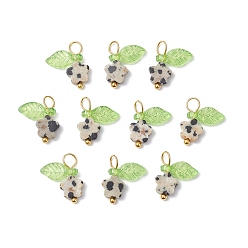 Далматинских Джаспер 10шт. подвески-цветы из натуральной далматинской яшмы, с прозрачным акриловым светло-зеленым листом и петлями из медной проволоки, золотые, 13~13.5x11.5x3.5 мм, отверстие : 2.5x3 мм