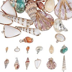 Shell Electroplate Natural Spiral & Cowrie & Sea Shell Pendants, with Brass Findings, 17~76x8~43x5~16mm, Hole: 1~2mm, 24pcs/set