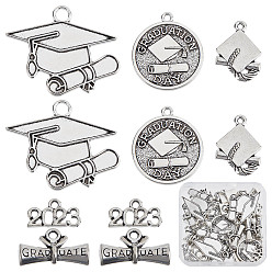 Античное Серебро 50 шт 5 подвески из сплава в тибетском стиле, без свинца и без кадмия, разнообразные, античное серебро, 9~29x14.5~35x1~6.5 мм, отверстие : 1.8 мм, 10 шт / стиль