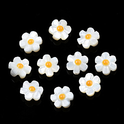 Оранжевый Бусины из натуральной белой эмали, цветок, оранжевые, 10x10x4 мм, отверстие : 0.9 мм