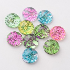 Mixed Color Handmade Glass Flat Back Cabochons, with Dried Flower, Dome/Half Round, Mixed Color, 18x9~10.5mm