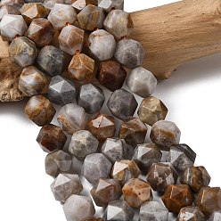 Гобийский агат Натуральные нити бусин агата, звезды вырезать круглые бусы, граненые, 9~10x9~10x9~10 мм, отверстие : 1~1.4 мм, около 38~40 шт / нитка, 14.88'' (15.08'' см)