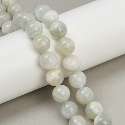 Green Moonstone Нити бусин из натурального зеленого лунного камня, круглые, 10 мм, отверстие : 1.2 мм, около 36 шт / нитка, 14.96'' (38 см)