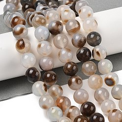 Дендритный Агат Нити из натурального дендритного агата, круглые, 12 мм, отверстие : 0.8 мм, около 33 шт / нитка, 14.96'' (38 см)