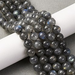 Лабрадорита Природные лабрадорита бисер нитей, круглые, 8 мм, отверстие : 0.9 мм, около 48 шт / нитка, 15.43'' (39.2 см)