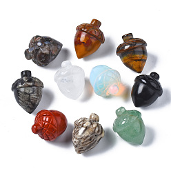 Смешанные камни Украшения из натурального смешанного камня, желудь, 25~28x20~21 мм