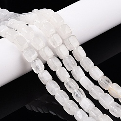 Хрусталь Природных кристаллов кварца бисер нитей, кубовидные бусины из горного хрусталя, 8~11.5x8~9x7.5~9 мм, отверстие : 1.2 мм, около 34 шт / нитка, 15.16'' (38.5 см)