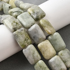 Chinese Jade Натуральные китайские бусины из южного нефрита, прямоугольные, 18x13x5.5 мм, отверстие : 1 мм, около 11 шт / нитка, 7.68''~7.87'' (19.5~20 см)