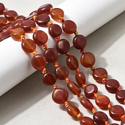 Красный Агат Природного сердолика нитей бисера, плоско-круглые, окрашенная и подогревом, 11~12.5x5~6.5 мм, отверстие : 1~1.2 мм, около 28 шт / нитка, 15.55~16.50'' (39.5~41.9 см)