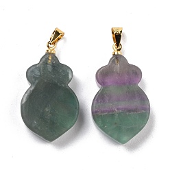 Fluorite Natural Fluorite Pendants, with Golden Brass Findings, Carrot, 29~30x17x6mm, Hole: 5mm