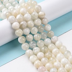 White Moonstone Натуральный белый лунный камень бисер пряди, круглые, 8 мм, отверстие : 1 мм, около 47 шт / нитка, 15.55 дюйм (39.5 см)