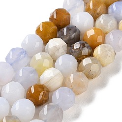 Халцедон Природные голубые халцедон бисер пряди, граненые, бусины с двойным сердечком и звездочкой, 7~8.5x7.5~8 мм, отверстие : 0.8~1 мм, около 48~50 шт / нитка, 15.16~15.55 дюйм (38.5~39.5 см)