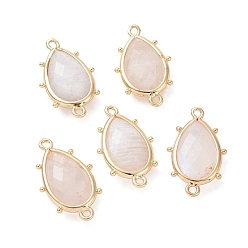 Лунный Камень Подвески-соединители из натурального лунного камня, с позолоченными латунными петлями по краям, граненые, слеза, 24x14.5x5 мм, Отверстие : 1.2 мм & 1.4 мм