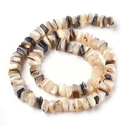 Seashell Color Freshwater Shell Beads Strands, Square Chip, Seashell Color, 8~11x6~8x2~5mm, Hole: 0.6mm, 15.7~15.9 inch(40~40.5cm)