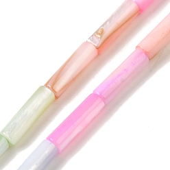 Column Нити бусин из натуральных пресноводных ракушек, окрашенные в цвета радуги, разноцветные, колонка, 13x4 мм, отверстие : 0.5 мм, около 31 шт / нитка, 15.39 дюйм (39.1 см)