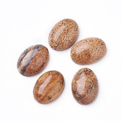 Пейзажный Джаспер Естественная картина яшма кабошоны, овальные, 14~14.5x9.5~10x4~5 мм