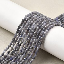 Танзания Натуральные шарики из танзанита, граненые, круглые, 3 мм, отверстие : 0.7 мм, около 124 шт / нитка, 14.96'' (38 см)