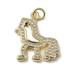 Real 18K Gold Plated Brass Micro Pave Cubic Zirconia Pendants, Cadmium Free & Lead Free, with Shell, Real 18K Gold Plated, 20x18x3mm, Hole: 3.4mm