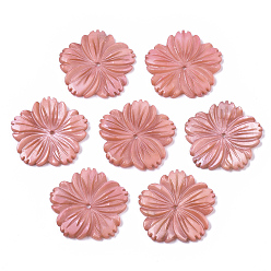 Corail Clair Perles de coquillages naturels d'eau douce, sculpté, teint, fleur, corail lumière, 28x28x3mm, Trou: 1.6mm