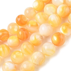 Gold Natural Yellow Shell Beads Strands, Smooth Round, Gold, 9~10mm, Hole: 1mm, about 43pcs/strand, 15.35 inch(39cm)