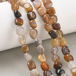 Petrified Wood Natural Petrified Wood Beads Strands, Nuggets, Tumbled Stone, 6~8.5x6~7.5x5~8mm, Hole: 0.9mm, about 27~35pcs/strand, 7.48~8.26''(19~21cm)