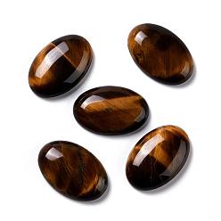 Тигровый глаз Природных тигровый глаз кабошонов, овальные, 30x20x7~7.5 мм