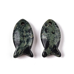 Яшма Камбаба Подвески из натуральной камбабы с яшмой, рыба, 23.5~24.5x12x5~6 мм, отверстие : 2 мм