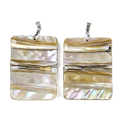 Rectangle Естественных пресноводных оболочки большие кулоны, с фурнитурой из сплава и нержавеющей стали, цвет нержавеющей стали, цвет морской раковины, прямоугольные, 53x39~40.5x7 мм, отверстие : 5x3.5 мм