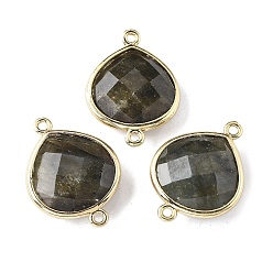 Лабрадорита Подвески из латуни, с натуральным лабрадорита, стойки покрытие, слеза, 24.5x18x7 мм, отверстие : 1.6 мм
