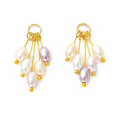 Золотой Подвески из перламутра с гальваническим покрытием, рисовые бусы, подвески-кисточки, разноцветные, золотые, 28~30 мм, отверстие : 3.5 мм