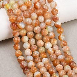Легкий Лосось Ручной работы бусины прядь, имитация нефрита, круглые, светлый померанцевый, 7.5~8 мм, отверстие : 1.8 мм, около 49~54 шт / нитка, 14.76~15.16'' (37.5~38.5 см)
