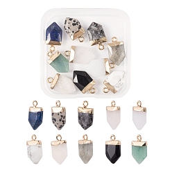 Mixed Stone 10Pcs 10 Style Natural Gemstone Pointed Pendants, with Light Gold Plated Brass Loop, Faceted, Arrow, 19x10.5x4.5mm, Hole: 1.8mm, 1pc/style