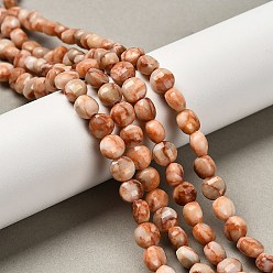 Камень Сетки Бусы из натурального красного камня, граненый квадратный разрез, плоско-круглые, 6~7.5x4~4.5 мм, отверстие : 0.8~1 мм, около 63~67 шт / нитка, 15.51~15.55 дюйм (39.4~39.5 см)