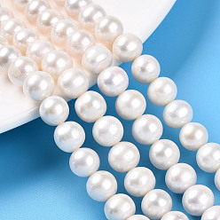 Кремово-белый Нити из натурального культивированного пресноводного жемчуга, круглые, кремово-белые, 7~9 мм, отверстие : 0.5 мм, около 50 шт / нитка, 14.96'' (38 см)