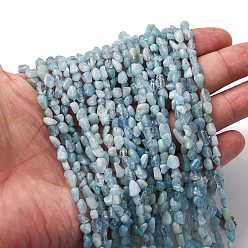Аквамарин Природные Аквамарин бисер нитей, самородки, 5~9x4~6x3~4.5 мм, отверстие : 0.7 мм, около 75~89 шт / нитка, 15.35'' (39 см) ~ 15.94'' (40.5 см)